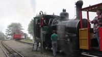 227 Fahrt mit der Brienzer Rothornbahn