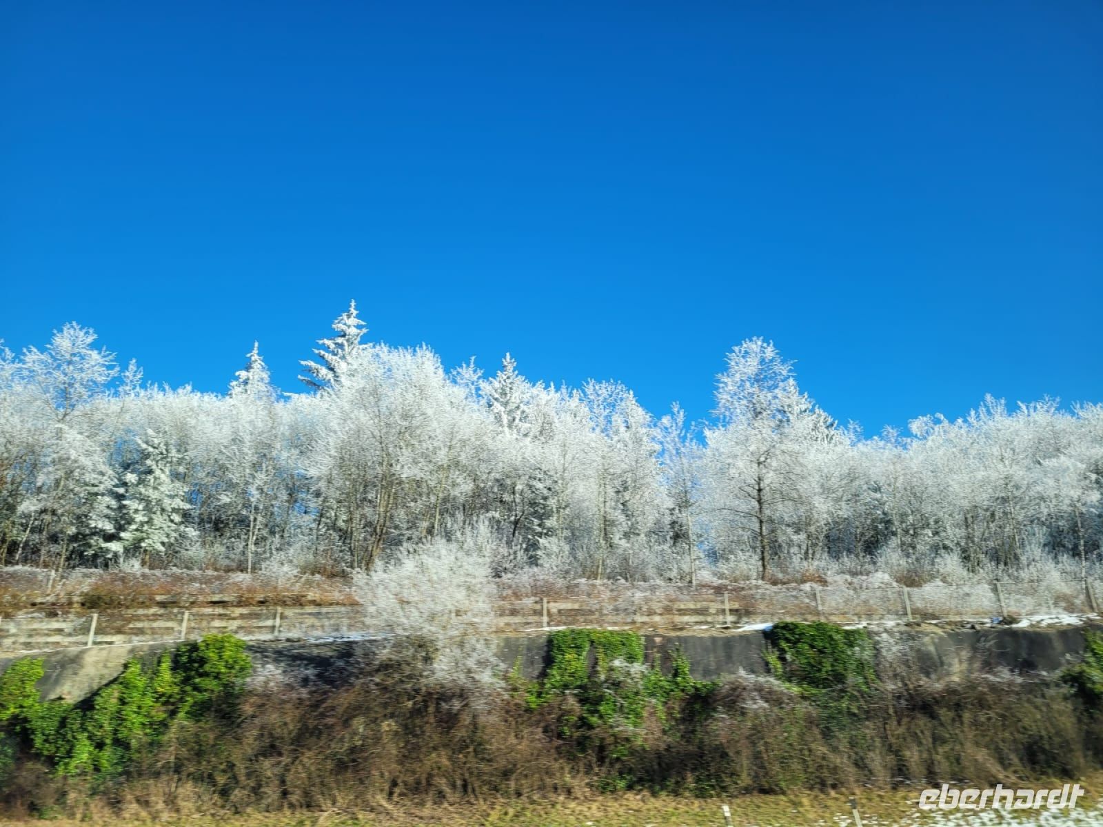 Fahrt in die Schweiz...