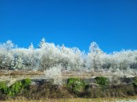 Fahrt in die Schweiz...