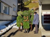 Silvesterchlausen in Urnäsch 