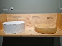 Appenzeller Schaukäserei in Stein