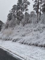 001 Winter in der Schweiz