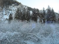 126 Fahrt auf der Strecke des Glacier Express -