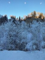 138 Fahrt auf der Strecke des Glacier Express durch das Winterwunderland