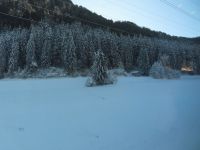 146 Fahrt auf der Strecke des Glacier Express durch das Winterwunderland
