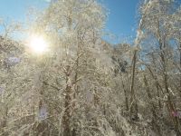 155 Fahrt auf der Strecke des Glacier Express durch das Winterwunderland