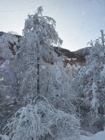 159 Fahrt auf der Strecke des Glacier Express durch das Winterwunderland