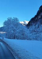 175 Rückfahrt mit dem Bus durch die verschneite Landschaft