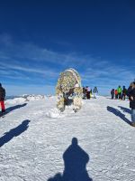 213 Arosa auf dem Weisshorn