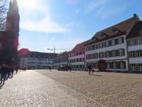 033 Basel Stadtführung - Münsterplatz