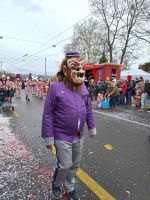 215 Basler Fasnacht - Cortège
