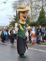 219 Basler Fasnacht - Cortège