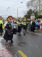 220 Basler Fasnacht - Cortège