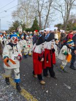 290 Basler Fasnacht - Cortège