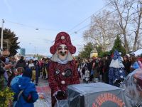 315 Basler Fasnacht - Cortège