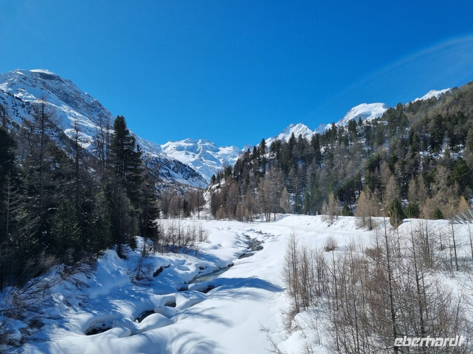 Fahrt mit dem Bernina-Express... 