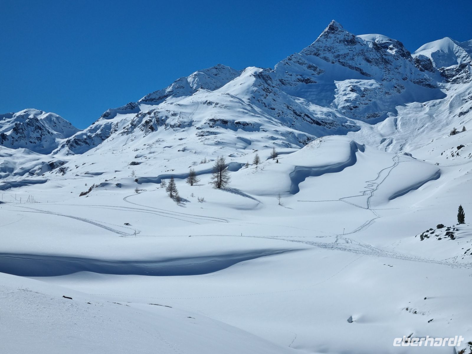 Fahrt mit dem Bernina-Express... 