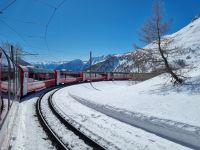 Fahrt mit dem Bernina-Express...