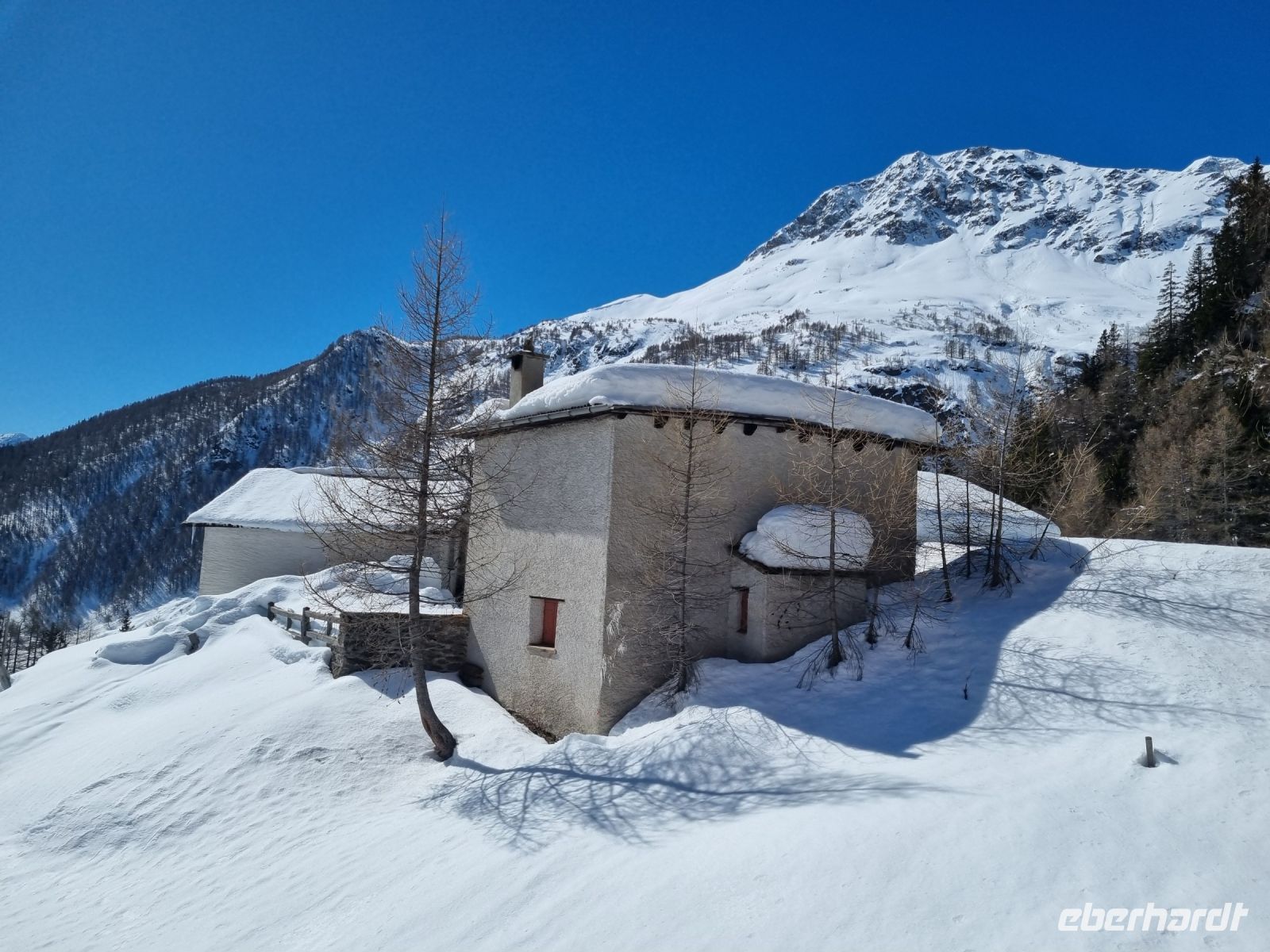 Fahrt mit dem Bernina-Express... 