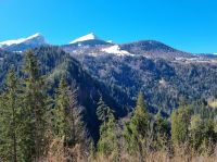 Fahrt mit der Arosa-Bahn durch das Schanfigg...