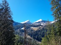 Fahrt mit der Arosa-Bahn durch das Schanfigg...