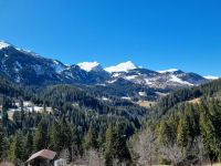 Fahrt mit der Arosa-Bahn durch das Schanfigg...