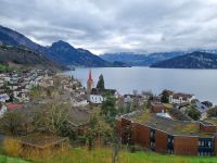 Weggis am Vierwaldstättersee 