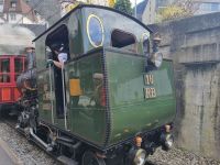 Rigi-Dampflok in Vitznau 