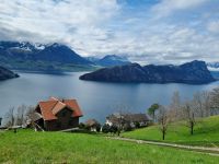 Fahrt mit der Rigi-Dampfbahn von Vitznau nach Rigi-Kulm (Vierwaldstättersee)