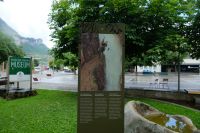 Der Felssturz in den Reichenbachfällen