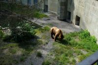 Auf der Suche nach Futter