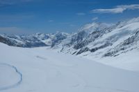 Blick auf den Aletschgletscher