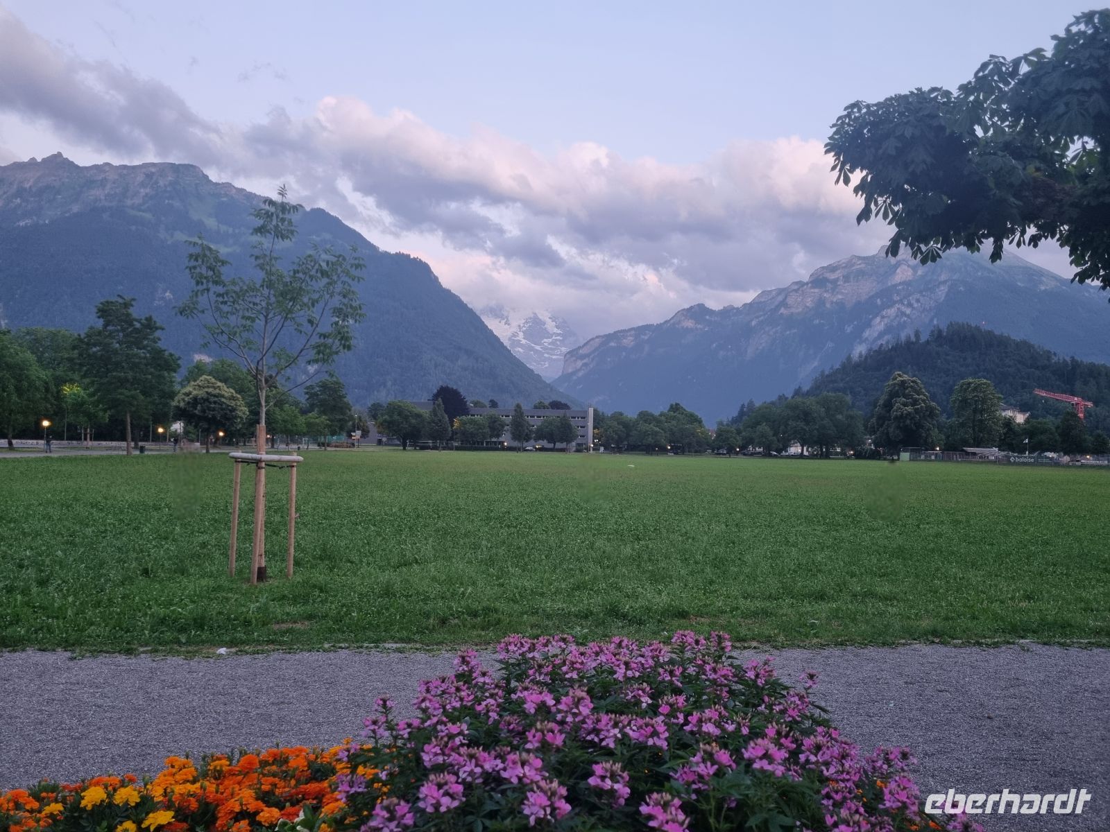 Interlaken - Blick von der Höhematte zur Jungfrau...