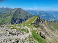 Ausblick vom Niesen...