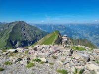 Ausblick vom Niesen...