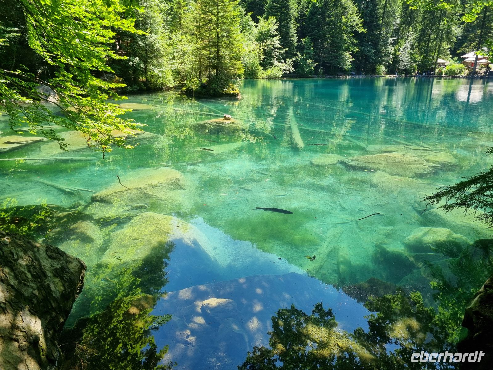 Naturpark Blausee
