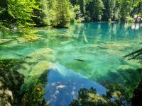 Naturpark Blausee