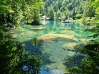 Naturpark Blausee 
