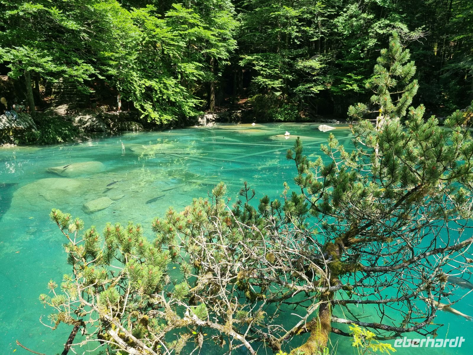 Naturpark Blausee 