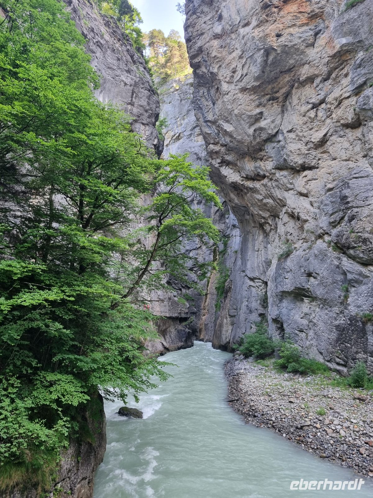 Aareschlucht