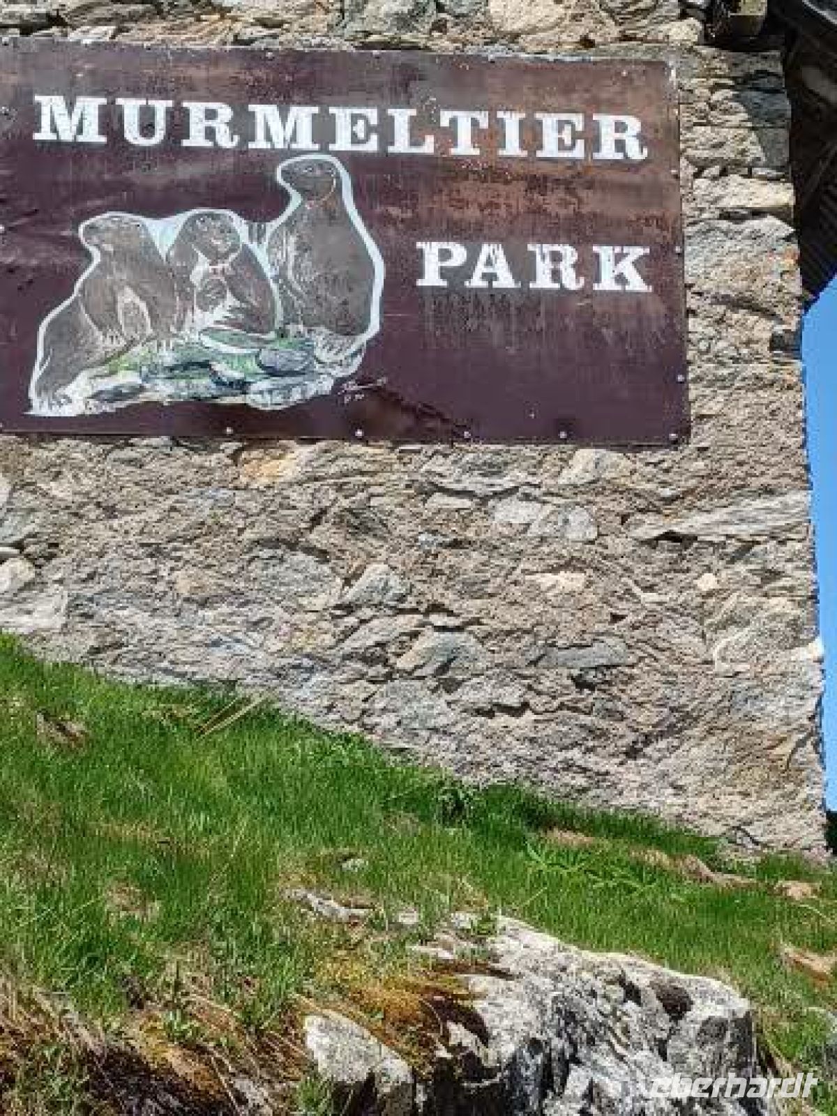 Grimselpass - Murmeltierpark