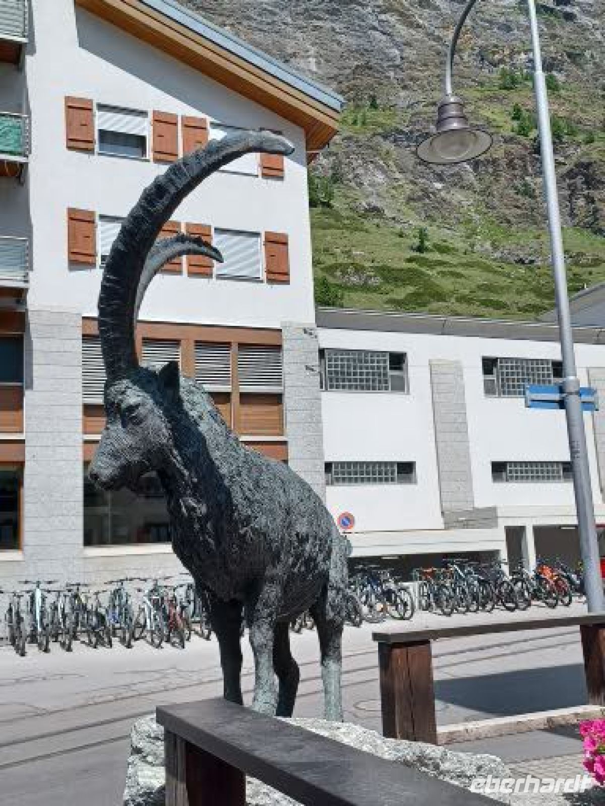 Steinböckli begrüßt die Gäste