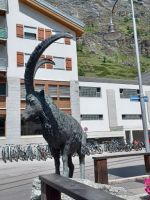 Steinböckli begrüßt die Gäste