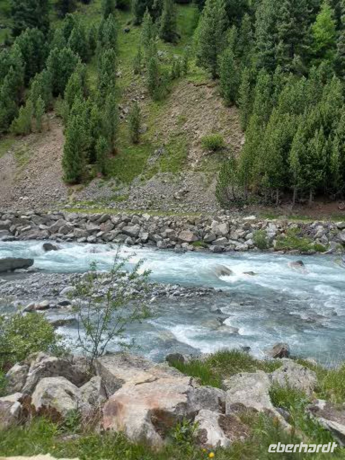 Gletscherfluss vom Roseggletscher