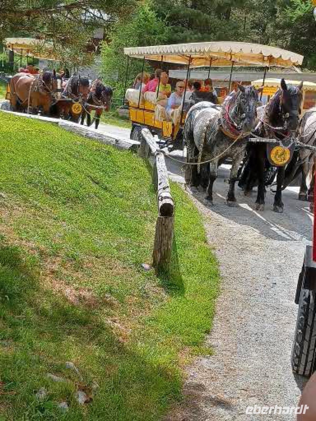 Val Roseg -Start mit drei Kutschen