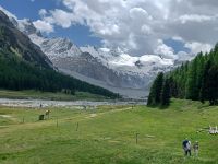 Blick auf die Gletscherzunge vom Roseggletscher