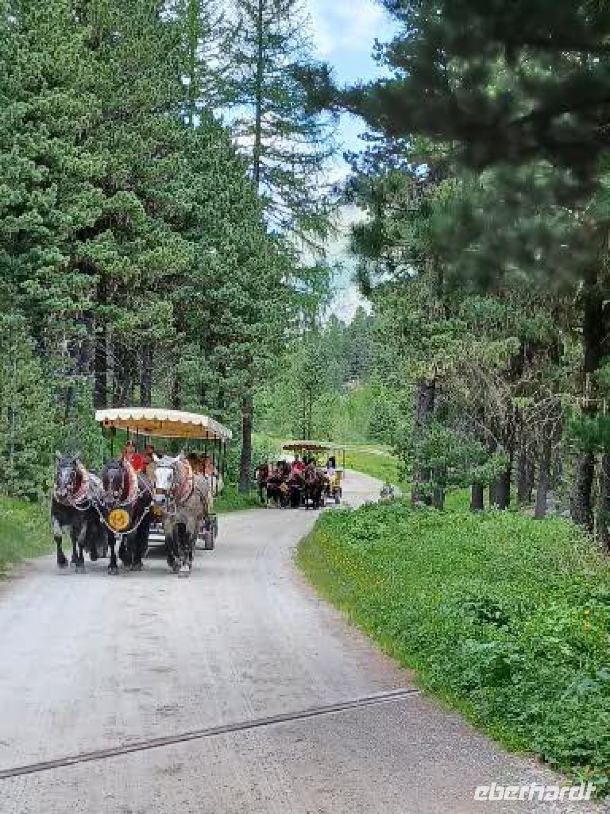 Val Roseg - es geht durch Wald u. Flur im Val Roseg