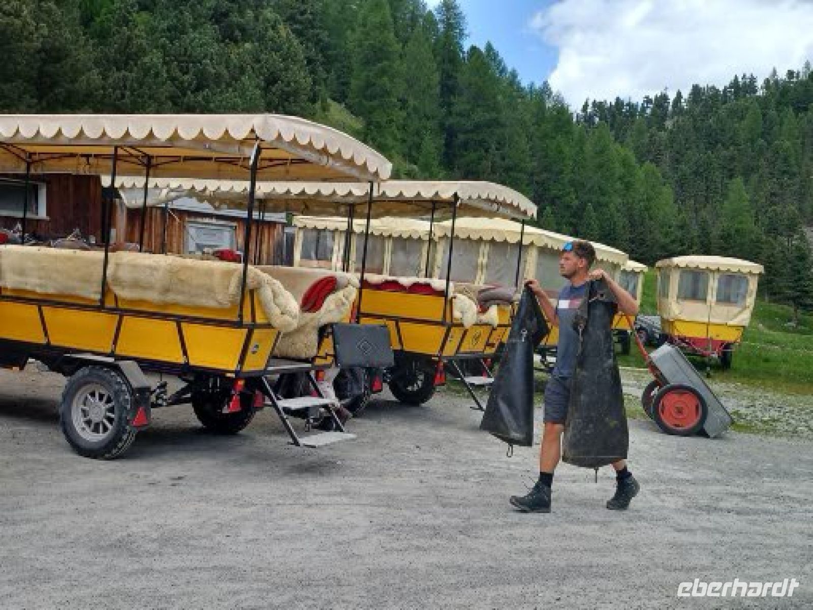 Versorgung der Pferde nach der Kutschfahrt