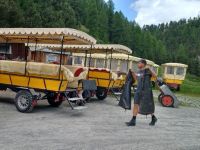 Versorgung der Pferde nach der Kutschfahrt