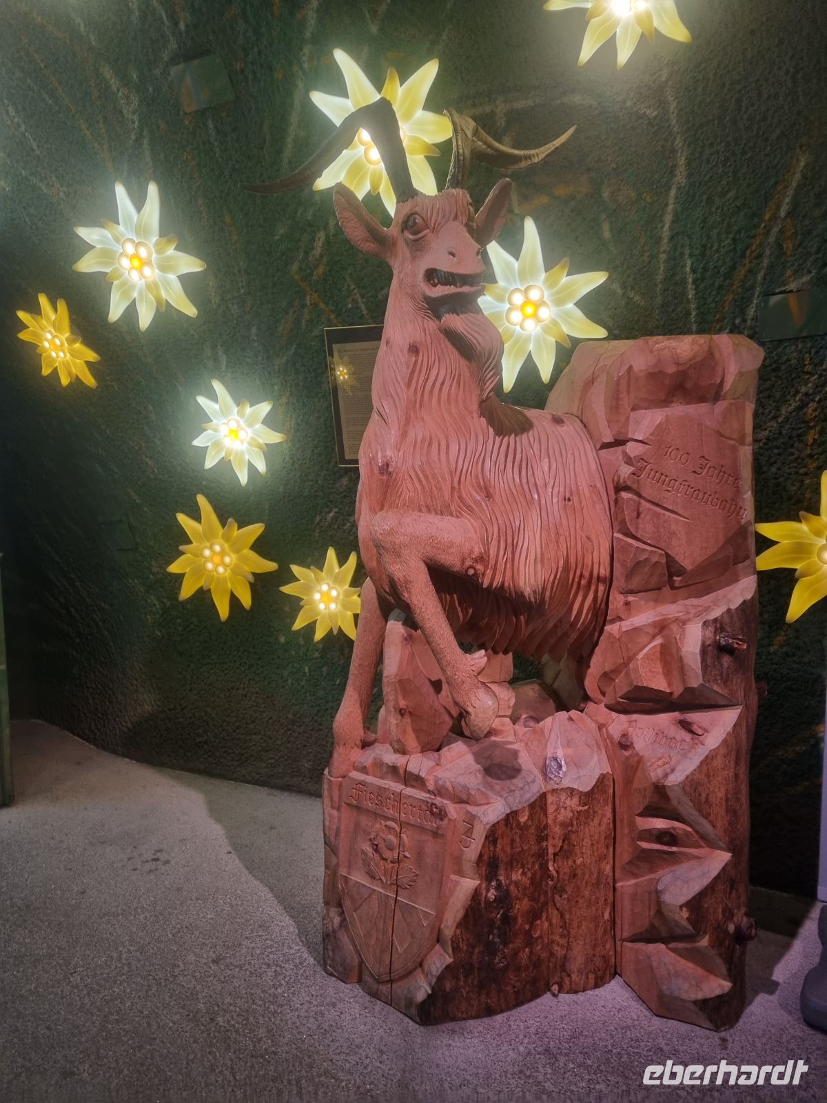 Jungfraujoch - Erlebnis-Tour (Discovery Tour)